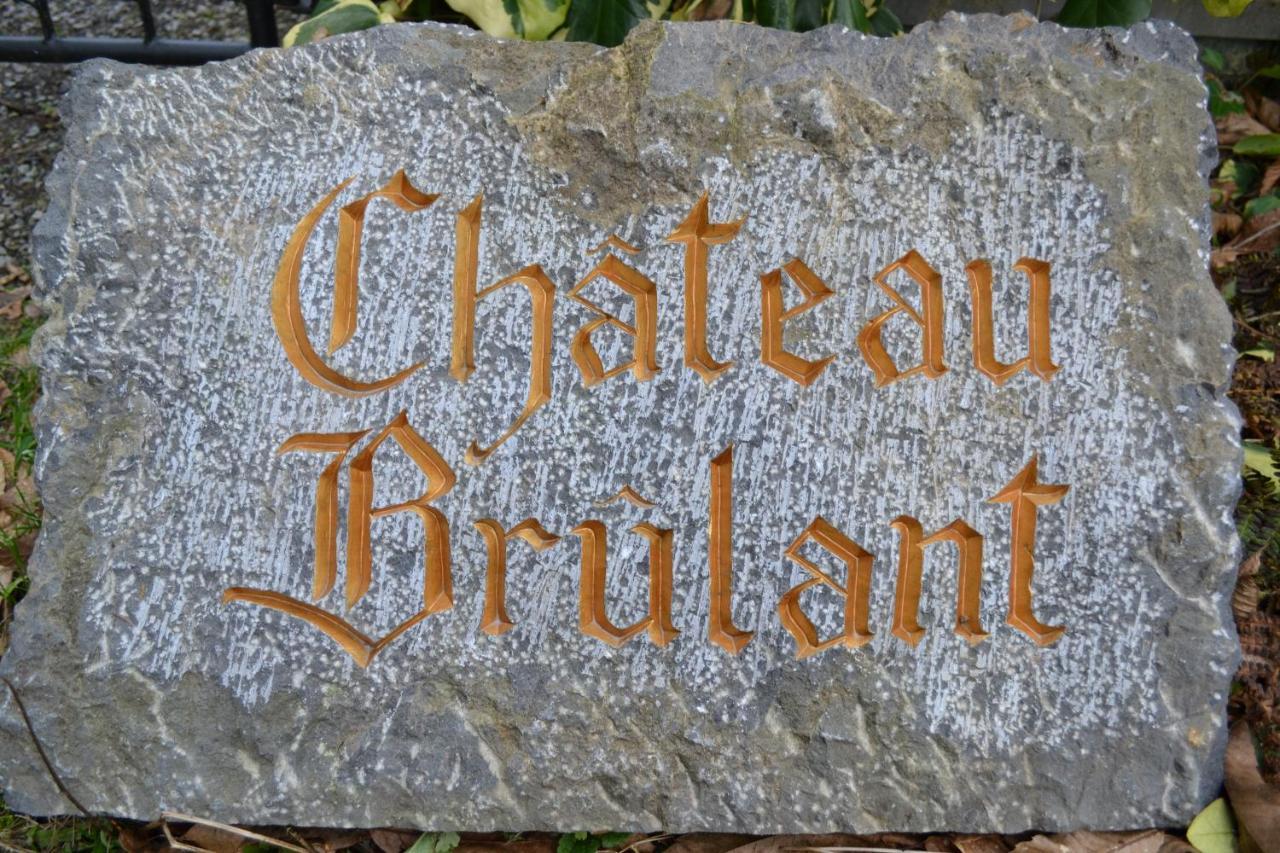 Chateau Brulant Somme-Leuze Eksteriør billede